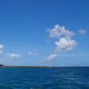 あいりんごの画像