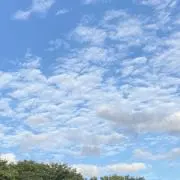 fuwariの画像