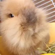 Yukiの画像