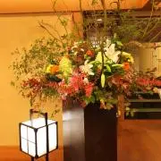 みの画像