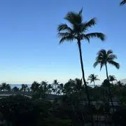 ASTの画像
