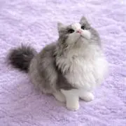 ♡こだか プロフィールご確認下さい♡の画像