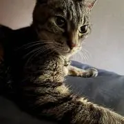 まろん