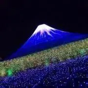ゴリマッチョの画像