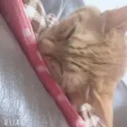 あみしゃん♡