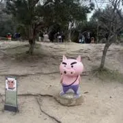 ぶりちゃんの画像