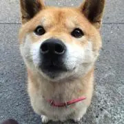 みのこ♪