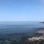白の画像