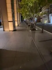 ラッキー　プロフ必読★年末セール開催中の画像