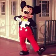 meiの画像