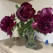 さよママ