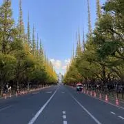 bbbの画像