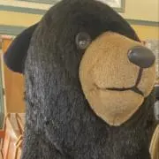 みつの画像