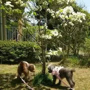 Memeの画像
