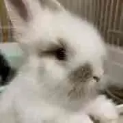 イツ☆プロフ読んでネの画像