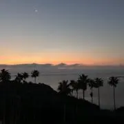 Panaの画像