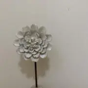 k.の画像