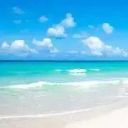 sonsanの画像