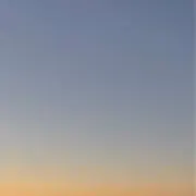 ぽんずの画像
