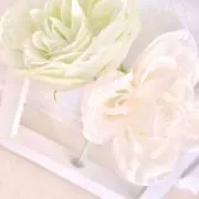 みいな