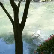 ヒロの画像