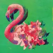 Flamingo!!!の画像