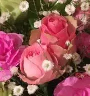 blanco✴︎コメント前プロフ必読の画像