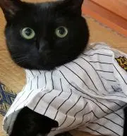 コタローパパの画像