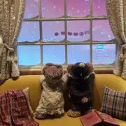 chocoの画像