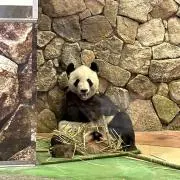 COCO&EVEの画像