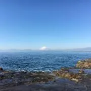 bird0220の画像