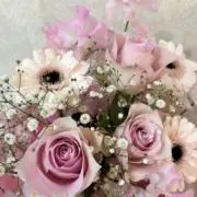 Marieの画像