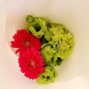 ほ。の画像