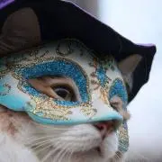 Riyaの画像