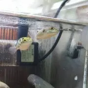 人人