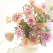 hana
