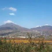 Harukiの画像