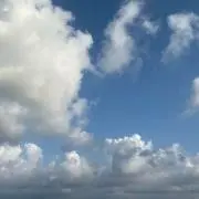 Ｒの画像