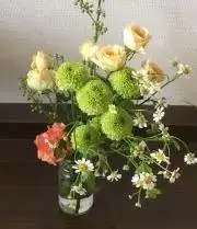 @_@nnnoの画像