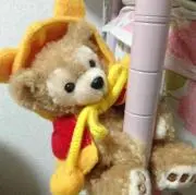run♪プロフィール必読の画像