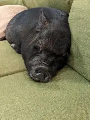 ‎^_^の画像