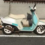 マー君の画像