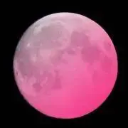 メルモ。の画像