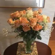 ☆あいりん☆ 即購入OK☆送料込み☆の画像