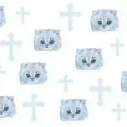 aoshiの画像