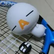 モーリーの画像