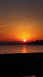 ひろの画像