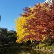 らななんの画像