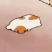 poの画像