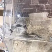 ゆー。 プロフ確認して欲しい。